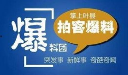 媒体爆料范文大全集最新,最新媒体爆料背后的故事与启示