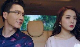 好妻子电视剧在线观看,揭秘现代家庭情感纠葛，演绎真挚爱情与亲情