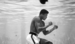 濒于崩溃电影在线观看,揭秘电影背后的真实人生