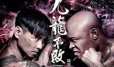 九龙不败在线全集观看,在线全集观影指南