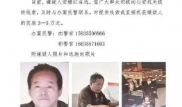 爆料新闻的人是谁呀怎么回答,揭秘神秘爆料者身份