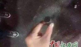 上饶网友爆料视频最新,最新视频揭露惊人真相！