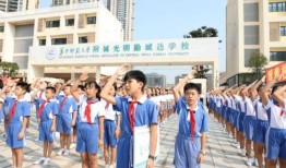 大城最新爆料事件,揭秘事件背后惊人真相