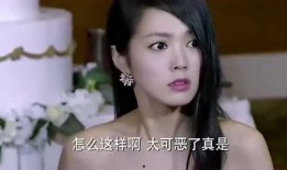 爆料婆婆最新视频全集,家庭矛盾与真相大曝光