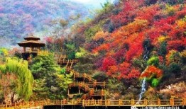 济南九如山爆料最新消息,神秘事件引发热议，真相即将揭晓！