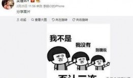 新瓜最新爆料吴谨言,揭秘娱乐圈背后的真相