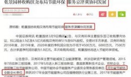 获奖热门爆料新闻稿,年度大奖得主背后的故事与幕后花絮
