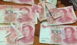 爆料二哈视频大全集下载