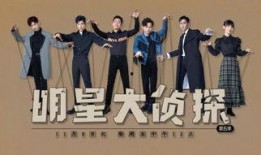 大侦探在线观看,揭秘神秘案件，探寻真相之旅