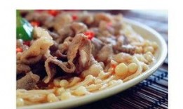 金针菇今日爆料最新视频,幕后故事与精彩瞬间