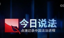 在线观看今日说法,揭示社会热点事件背后的真相与反思