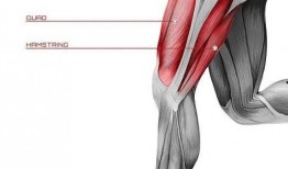 绳与肌在线观看,探索人体极限的健身奥秘