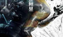 九龙不败在线全集观看,在线全集观影指南