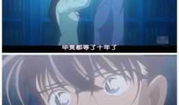 柯南最新一集爆料身份,神秘身份揭晓，柯南身份大揭秘！