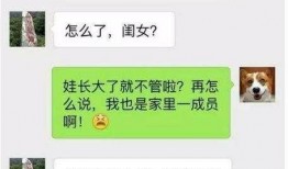 关于娱乐圈吃瓜的幽默段子,笑料百出，揭秘明星幕后趣闻