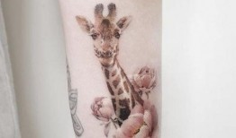 龙纹身的女孩在线观看,一场跨越时空的悬疑之旅