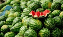 网红诺一斤吃瓜,揭秘网红美食背后的故事