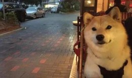 沭阳最新爆料新闻,揭秘当地重大事件背后真相