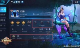 王者芳薇爆料视频大全,揭秘游戏幕后精彩瞬间