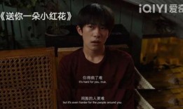 小天后爆料邓超视频在线观看,在线观看引发热议