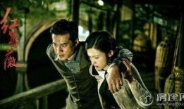电视剧红蔷薇在线观看,烽火岁月中的爱情传奇