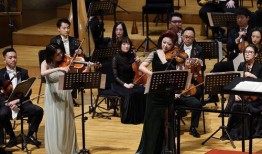 交响人生 在线观看,一场跨越时空的音乐之旅