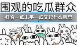 抖音吃瓜群免费图片高清,带你领略视觉盛宴