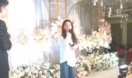 明星爆料结婚的是谁啊视频,揭秘神秘婚礼主角
