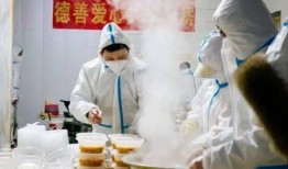 抗癌厨房爆料视频大全,视频大全背后的感人故事