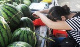 网红诺一斤吃瓜,揭秘网红美食背后的故事