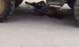 铲车皮肤爆料最新,炫酷造型，科技感十足！