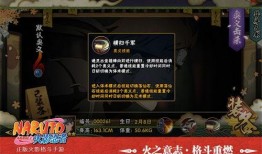 青春哥奥义图爆料视频完整版,探寻青春哥神秘力量的起源与传承