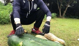 汾阳大瓜爆料视频,一场惊心动魄的真相大曝光