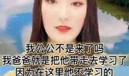 王雁林爆料视频在线观看,揭秘事件背后惊人真相