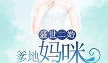 二婚陈女士最新爆料小说,婚姻背后的惊人真相