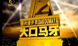 都市卫视直播在线观看,实时掌握城市脉搏，尽享精彩瞬间