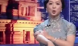 娱乐圈爆料节目,揭秘明星背后的故事与真相