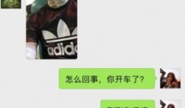 乔任梁女友的爆料视频,揭秘生前真相与心酸过往