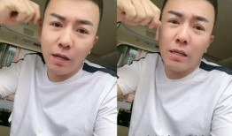 利哥爆料林先生退网视频,利哥爆料背后的故事与原因