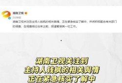 娱乐圈吃瓜运营模式是什么,流量密码背后的秘密解析