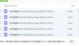 娱乐爆料合集百度云网盘,百度云网盘娱乐合集大揭秘