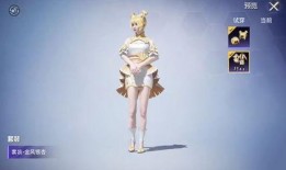 和平精英爆料中转盘最新,神秘中转盘全新玩法，惊喜不断等你来探索！