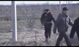 墓道在线观看,揭秘古墓之谜，在线观看带你穿越时空