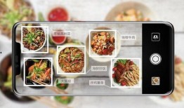 爆料黑科技食物视频大全,视频大全带你领略未来美食奇迹