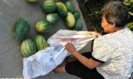 杭州瓜妈最新爆料,揭秘网红瓜妈背后的惊人真相！