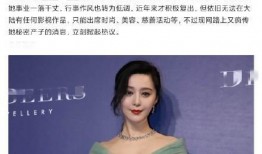 知名媒体爆料范冰冰视频,娱乐圈风波再起