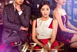 好妻子电视剧在线观看,揭秘现代家庭情感纠葛，演绎真挚爱情与亲情