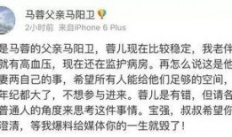 新闻爆料王冕事件是什么,揭秘网络舆论风暴背后的真相