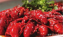 爆料小龙虾 帝师视频大全,视频大全中的美食传奇与烹饪技巧