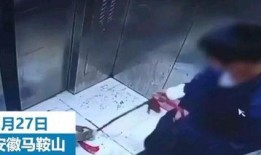 爆料安徽渣男视频大全集,视频大全集曝光惊人真相